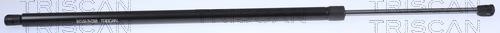 871016279 Triscan Tailgate strut