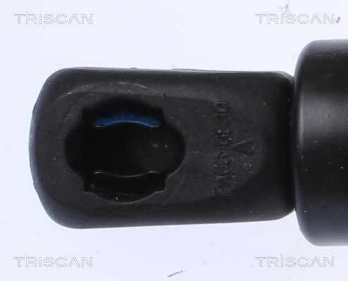 Gas Spring, boot-&#x2F;cargo area Triscan 8710 16279