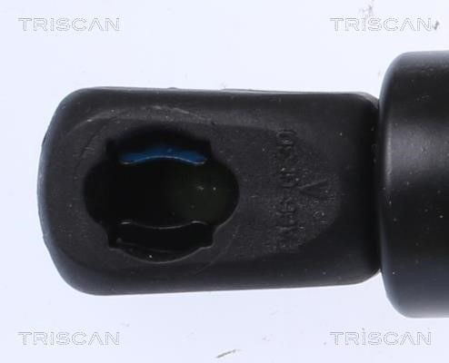 Tailgate strut Triscan 8710 16279