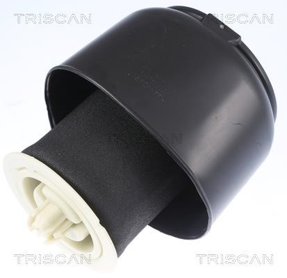 Triscan 8720 11201 Air bag 872011201