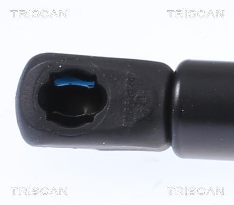 Buy Triscan 871018244 – good price at EXIST.AE!