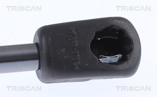 Tailgate strut Triscan 8710 18244