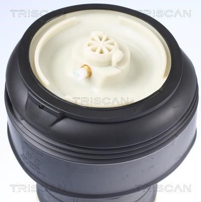 Air bag Triscan 8720 11203