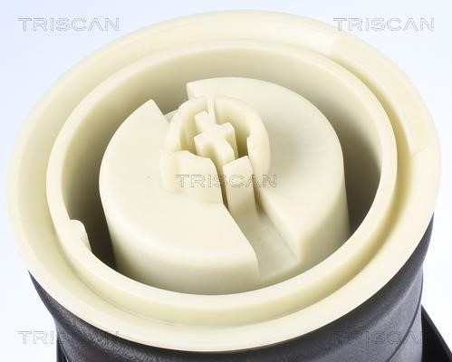Buy Triscan 8720 11203 at a low price in United Arab Emirates!