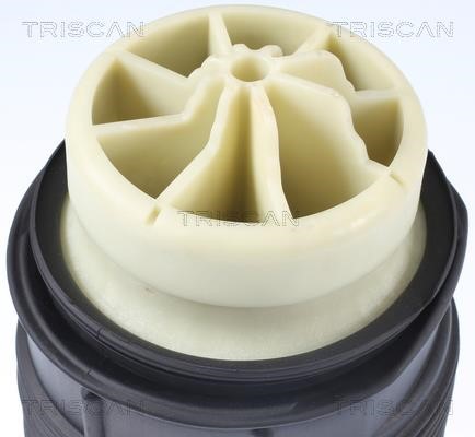 Air bag Triscan 8720 23201