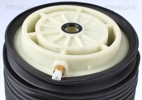 Buy Triscan 8720 23201 at a low price in United Arab Emirates!