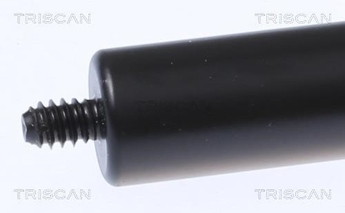 Hood shock absorber Triscan 8710 23134