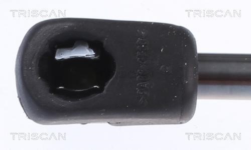 Buy Triscan 8710 23134 at a low price in United Arab Emirates!