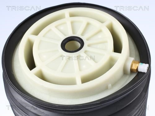 Buy Triscan 8720 23202 at a low price in United Arab Emirates!