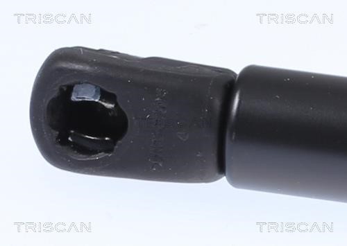 Tailgate strut Triscan 8710 23297