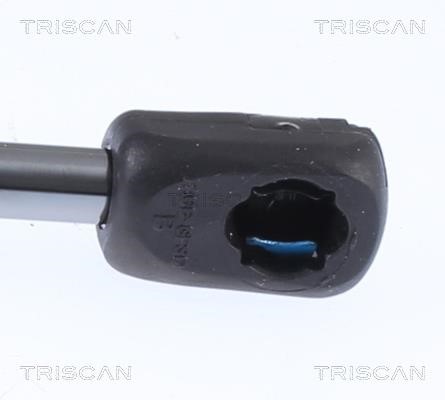 Buy Triscan 8710 23297 at a low price in United Arab Emirates!