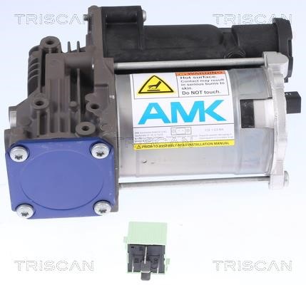 Air Suspension Compressor Triscan 8725 11102
