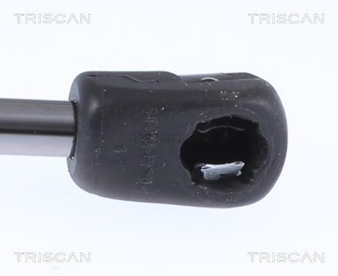 Tailgate strut Triscan 8710 23299