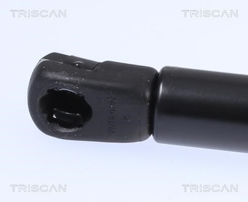 Buy Triscan 8710 23299 at a low price in United Arab Emirates!