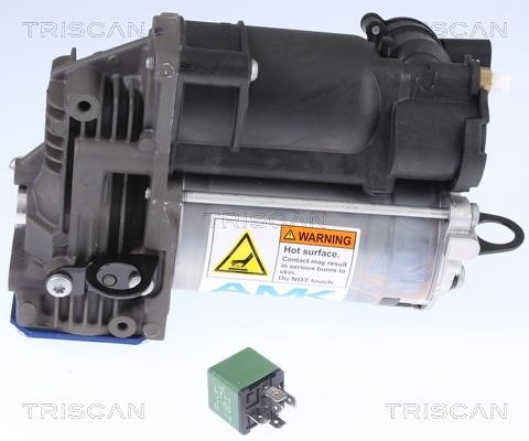 Air Suspension Compressor Triscan 8725 23103