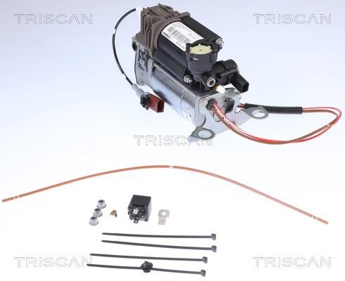 Air Suspension Compressor Triscan 8725 29101