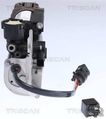 Air Suspension Compressor Triscan 8725 29102