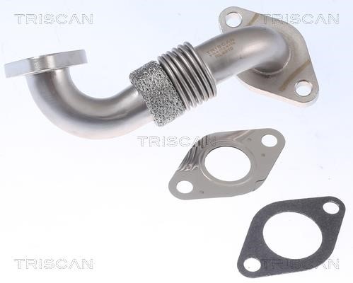 Triscan 8811 29100 Exhaust Gas Recycling Pipe (EGR) 881129100