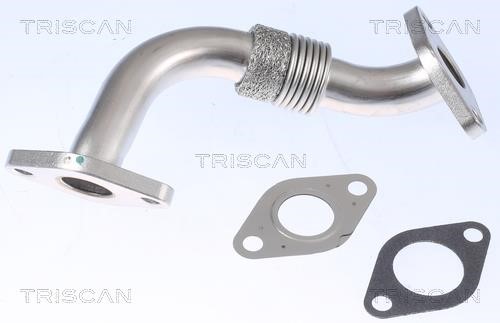 Triscan 8811 29104 Exhaust Gas Recycling Pipe (EGR) 881129104