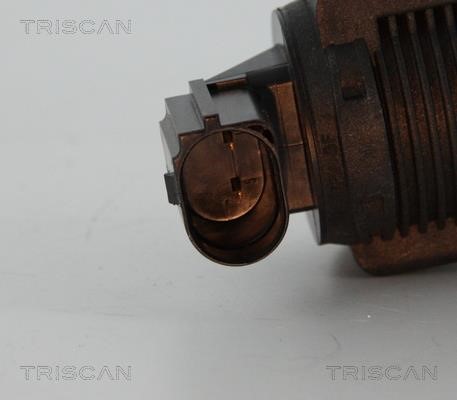 EGR Valve Triscan 8813 15032