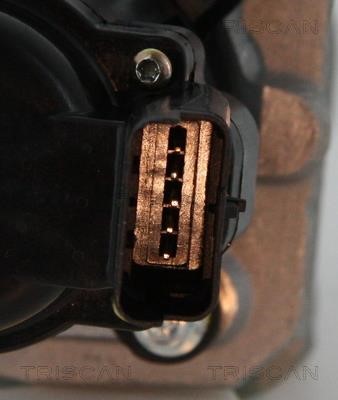 EGR Valve Triscan 8813 10010