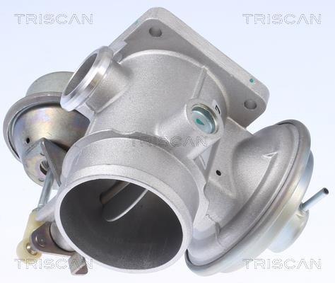 Triscan 8813 10034 EGR Valve 881310034