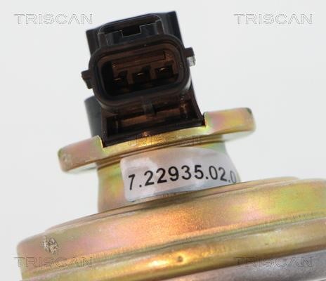 EGR Valve Triscan 8813 16212