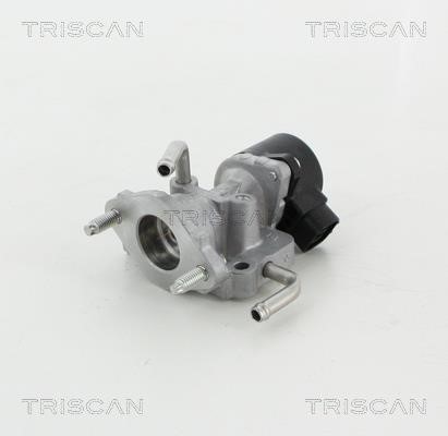 Triscan 8813 13059 EGR Valve 881313059