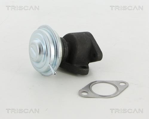 Triscan 8813 29067 EGR Valve 881329067