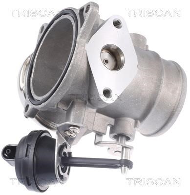 EGR Valve Triscan 8813 29309