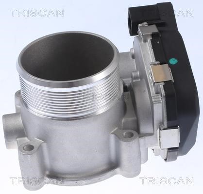Triscan 8820 29031 Throttle damper 882029031