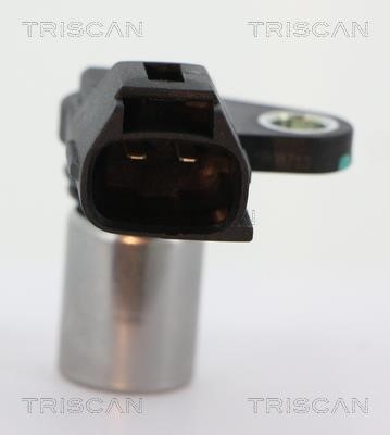 Buy Triscan 8855 13116 at a low price in United Arab Emirates!