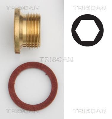 Triscan 9500 1005 Sump plug 95001005