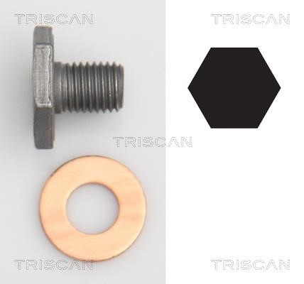 Triscan 9500 1010 Sump plug 95001010