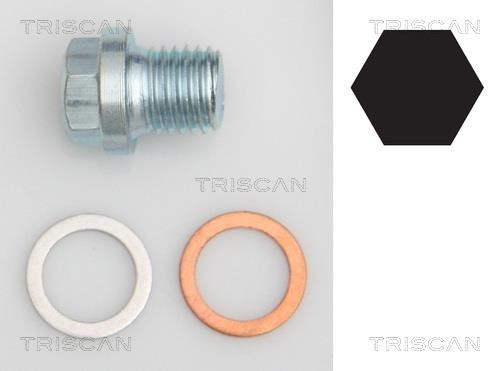 Triscan 9500 1011 Sump plug 95001011