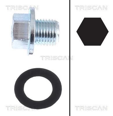 Triscan 9500 1013 Sump plug 95001013