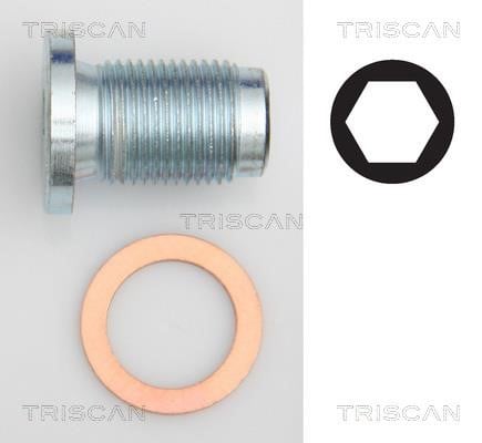 Triscan 9500 1014 Sump plug 95001014