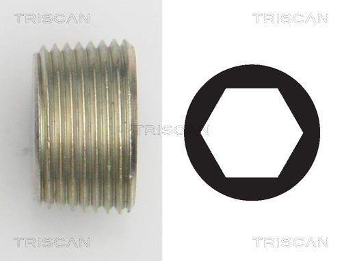 Triscan 9500 1015 Sump plug 95001015