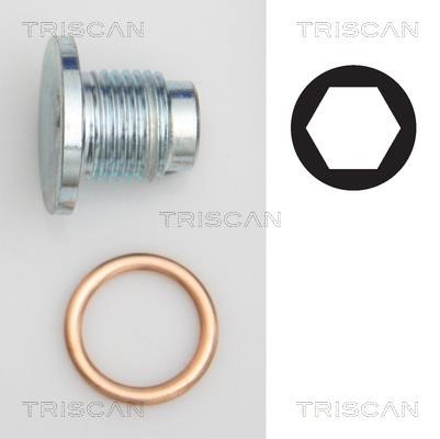 Triscan 9500 1019 Sump plug 95001019