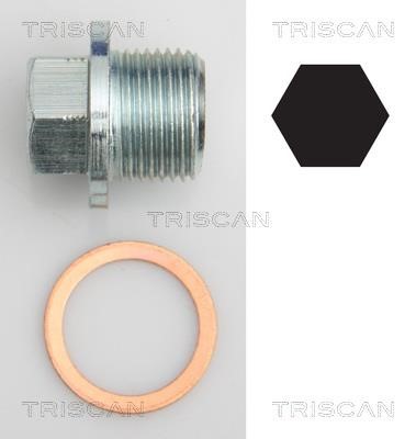 Triscan 9500 1022 Sump plug 95001022