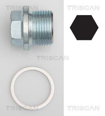 Triscan 9500 1102 Sump plug 95001102