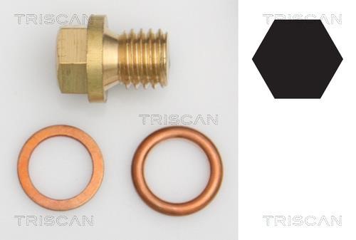 Triscan 9500 1601 Sump plug 95001601