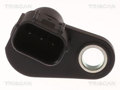 Buy Triscan 8855 40109 at a low price in United Arab Emirates!