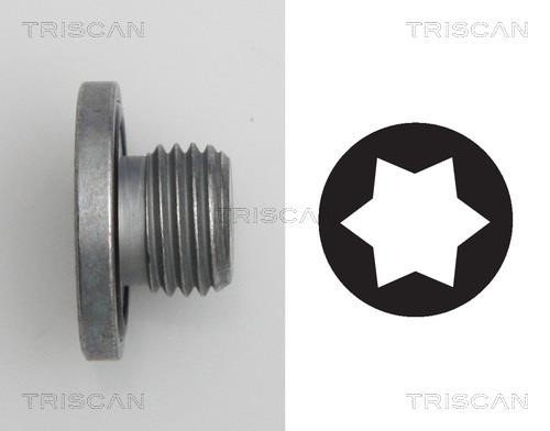 Triscan 9500 2401 Sump plug 95002401