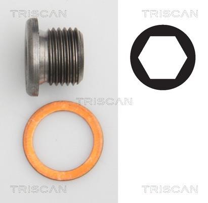 Triscan 9500 2403 Sump plug 95002403