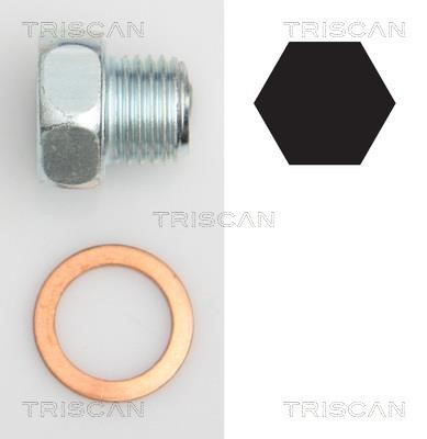 Triscan 9500 2404 Sump plug 95002404