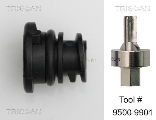 Triscan 9500 2901 Sump plug 95002901