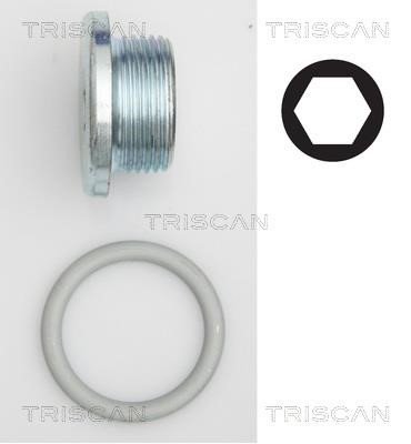 Triscan 9500 2904 Sump plug 95002904