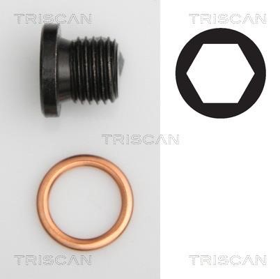 Triscan 9500 2906 Sump plug 95002906