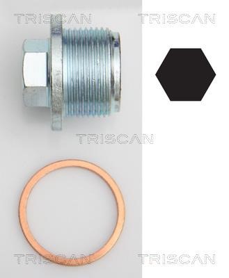 Triscan 9500 2908 Sump plug 95002908